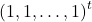 \left(1, 1, \dots, 1\right)^t